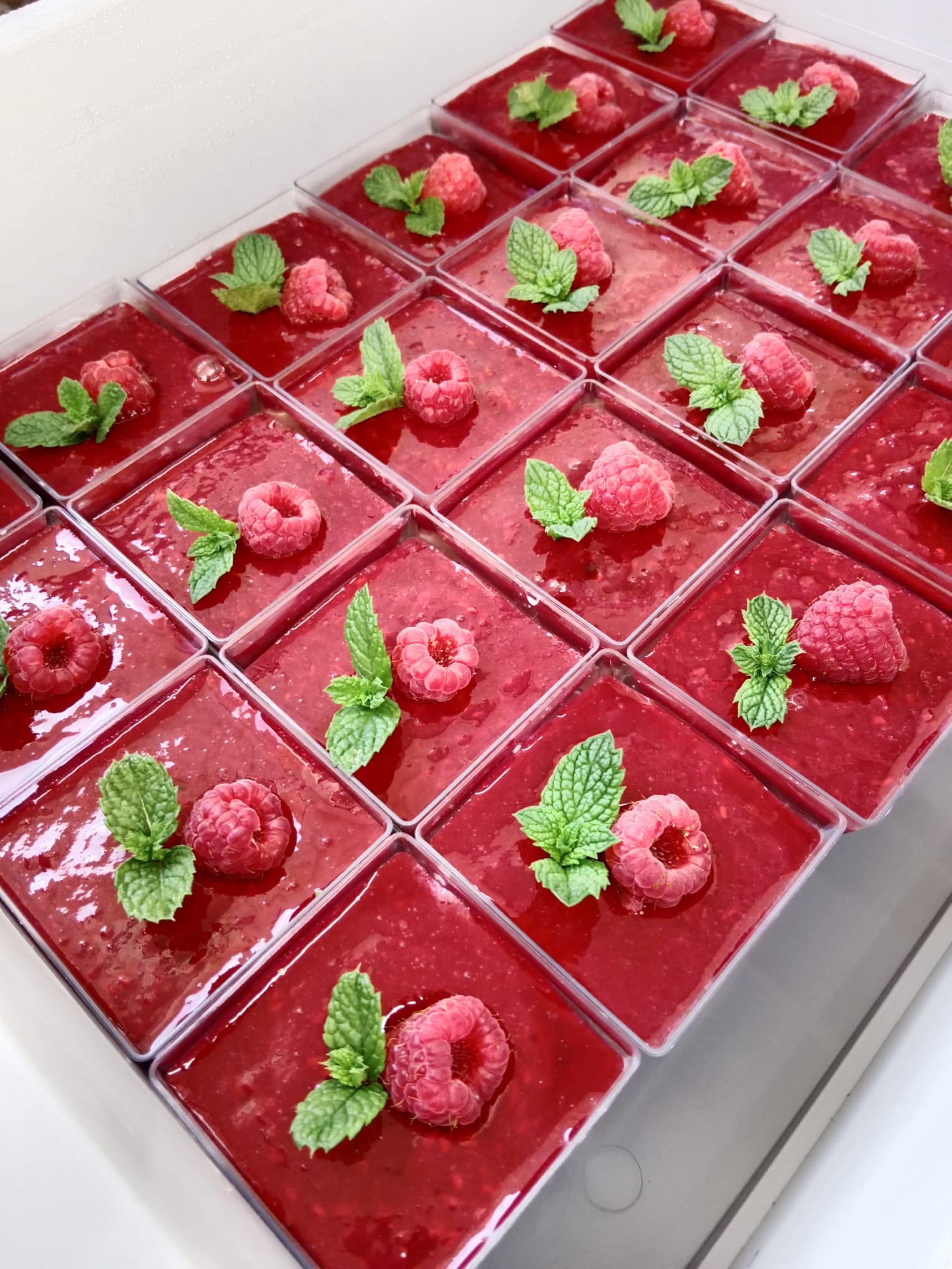 Panna Cotta